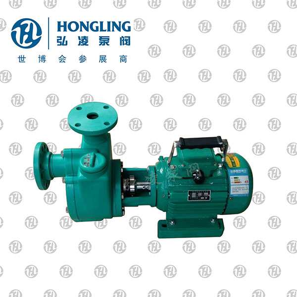 FPZ������������