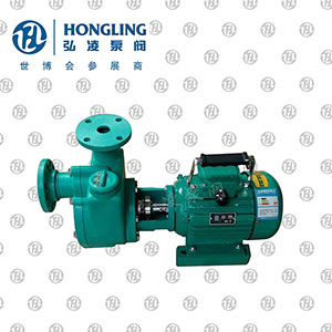 FPZ������������